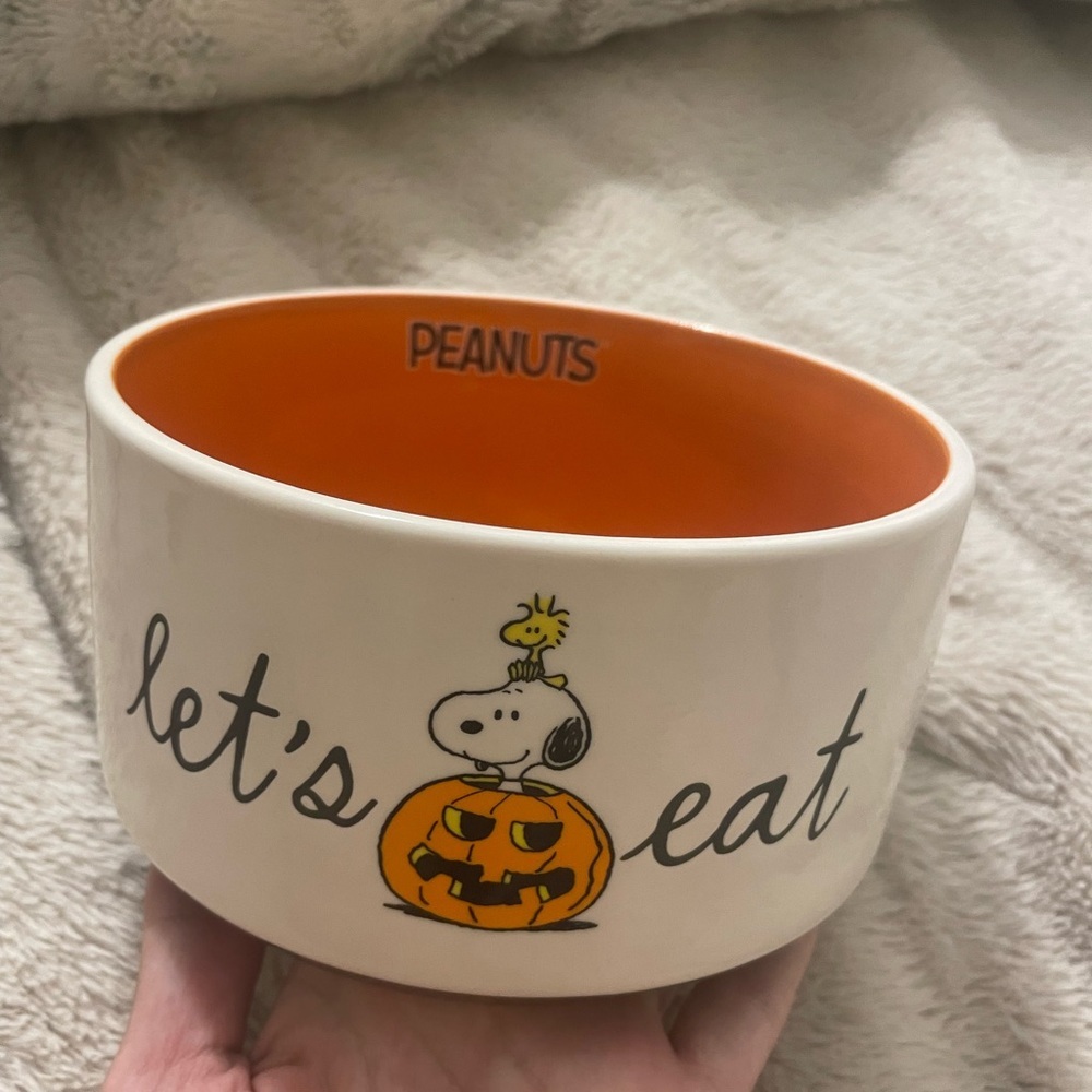 NWT Peanuts and Rae Dunn Pet Food or Water Bowl